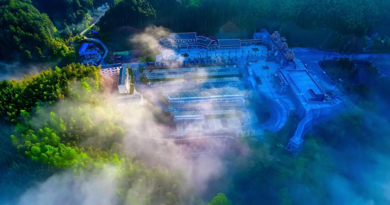龙京最新动态，自然美景探索之旅启程