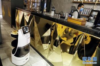 埃及新冠疫情最新动态详解，初学者与进阶用户的步骤指南
