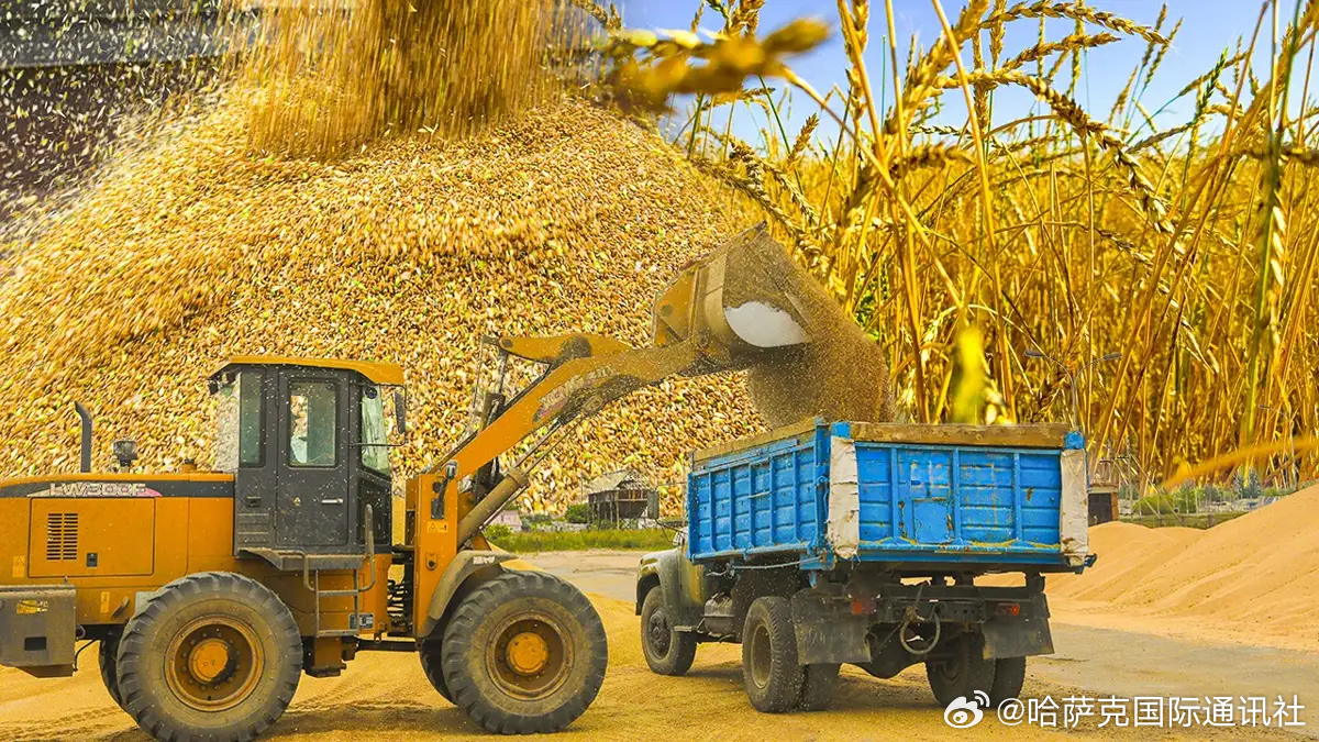 全球农业最新动态概览，绿色革命与果实丰硕果实的蓬勃发展之路