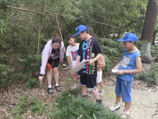 冠福最新动态，自然美景探险之旅，探寻内心平和与宁静的旅程
