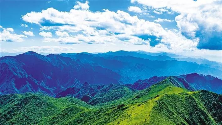 秦岭办最新动态，开启生态保护与可持续发展新篇章