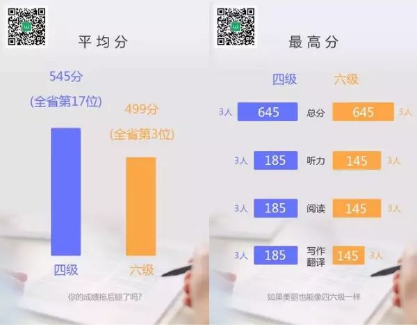 最新四六级成绩查询，多元视角下的探讨与解析