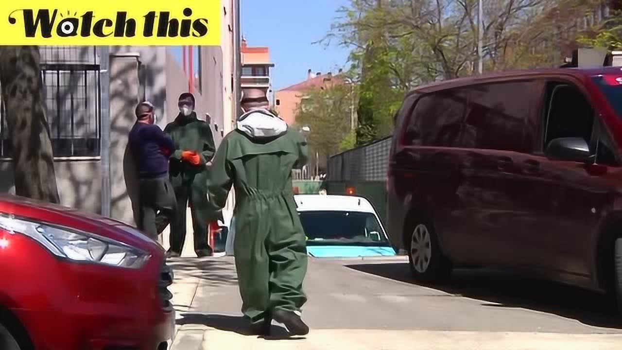全球疫情动态更新，抗疫最新消息与应对策略