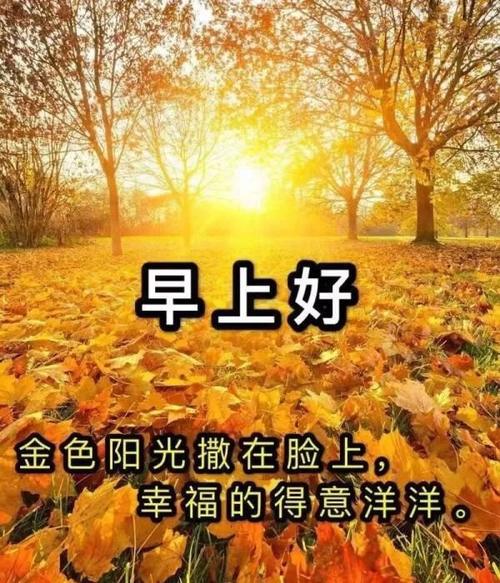 秋日温情与晨间美好的早安图片大全