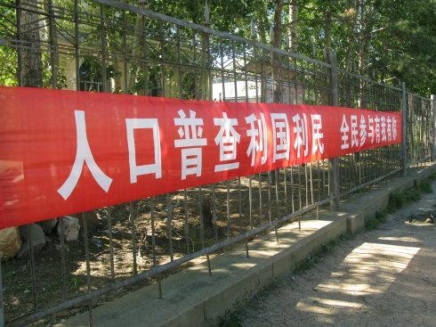 全国普查最新政策下的惊喜探索，小巷特色小店焕新貌