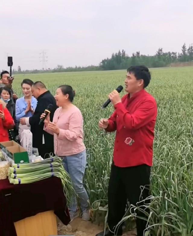 苍山大蒜最新价格更新通知