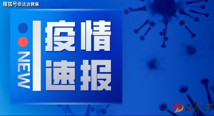 浙江新冠病毒最新动态与寻找内心的宁静绿洲之旅