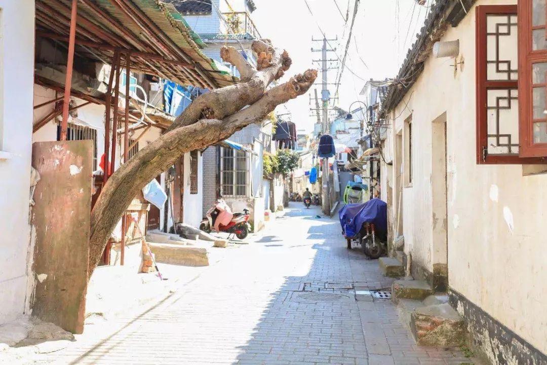 汽车之家2019最新报价揭秘与小巷特色小店探秘