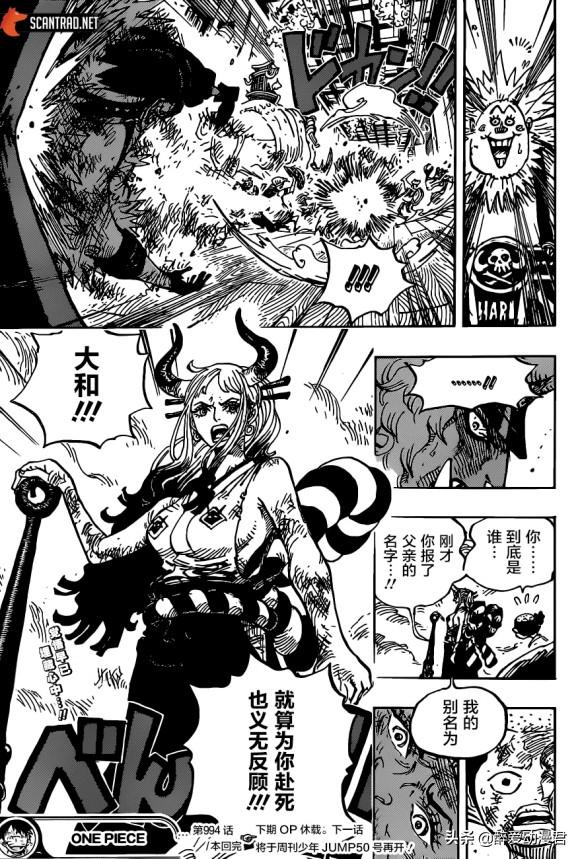 海贼王最新漫画994深度解析与探讨，全新剧情揭秘与角色发展探讨