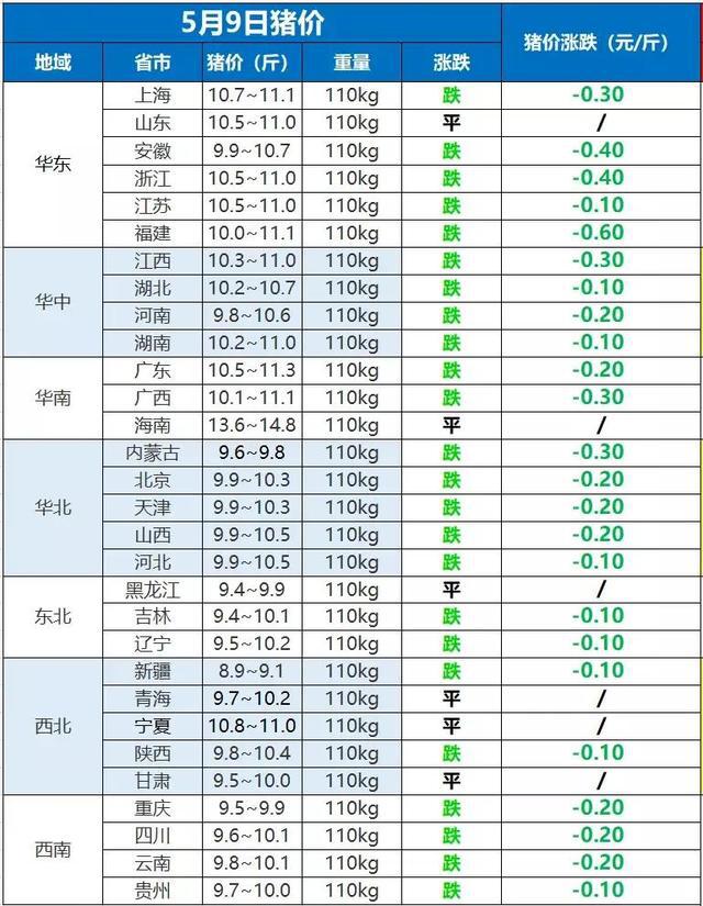 全国猪价最新动态，11月监控与了解详细步骤指南