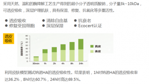 书悦最新地址，探索知识的宝库新门户，开启智慧之旅