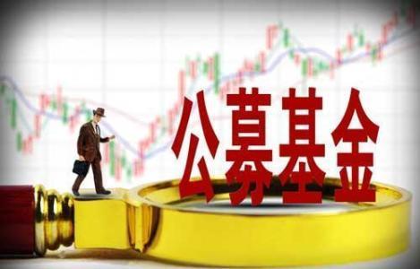 社保基金持仓股名单更新，时代见证与市场风向标