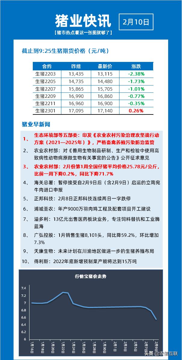 广东最新猪价动态，科技驱动市场，智能养殖开启新篇章