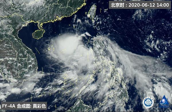 鹦鹉台风最新消息，夏日故事中的温馨与趣味相伴而行