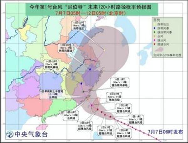 广东省最新台风动态，影响及应对策略分析