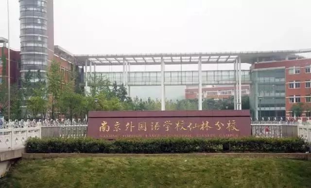 宁外最新动态，揭秘最新消息✨