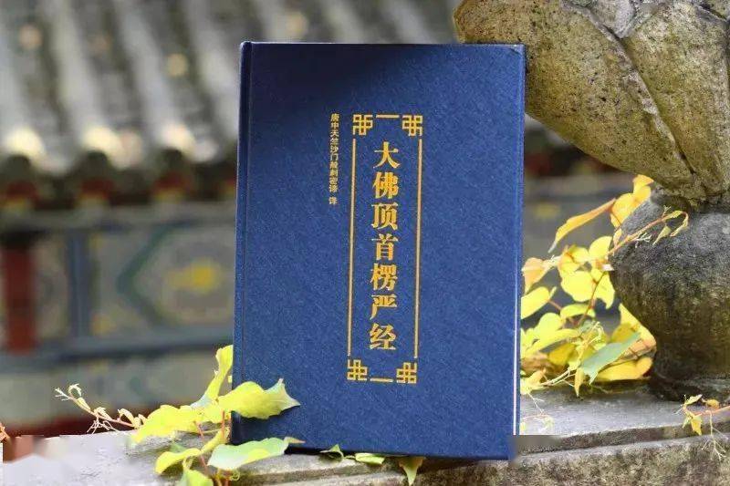 职务犯罪辩解 第107页