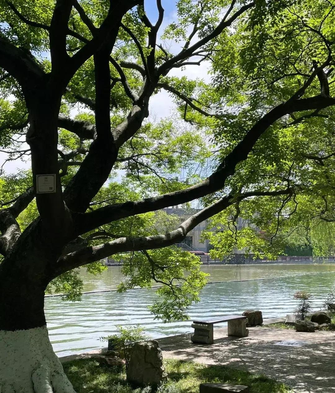 最新悬疑剧推荐，与自然共舞，内心宁静之旅的探索