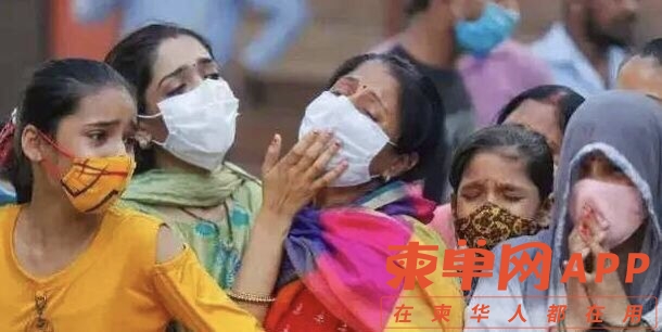 印度疫情最新通报，自然之声与心灵之旅的双重关注