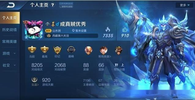 王者荣耀最新皮肤夺宝，机遇与挑战并存的挑战之旅