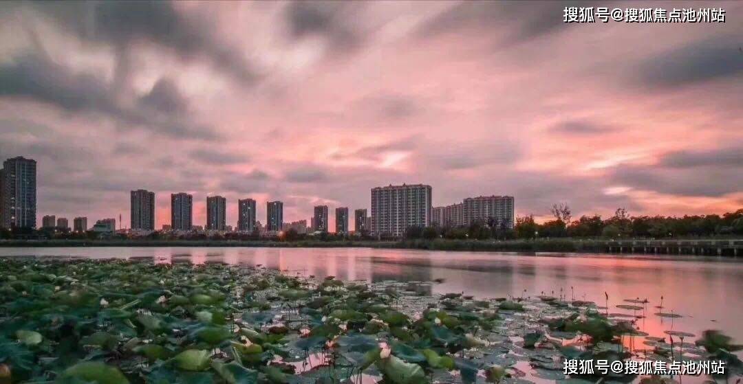 最新返程政策解析与论述