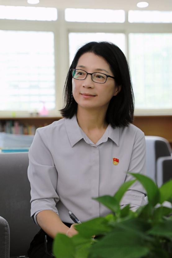 深圳拍地最新价格指南，教你如何获取与理解土地拍卖价格