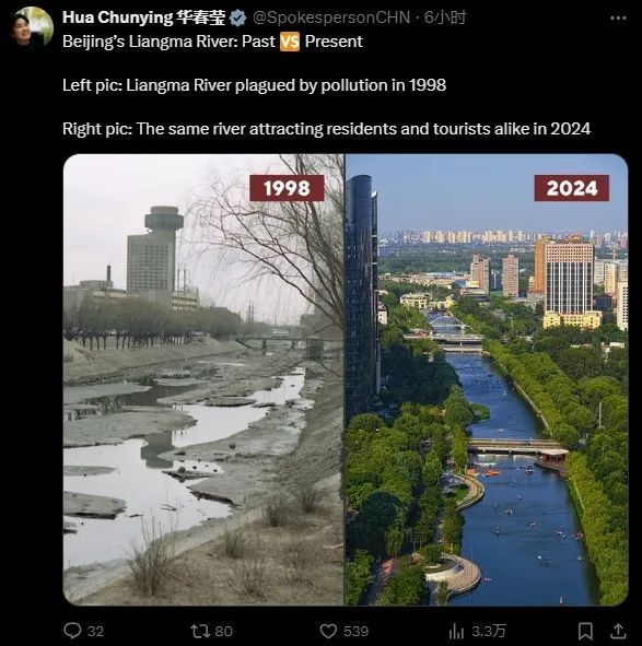 南阳招教最新信息揭秘，小巷深处的独特教育风景探索