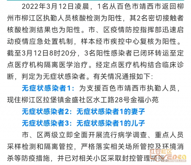 冠状病毒最新通报深度解析与观点阐述全览