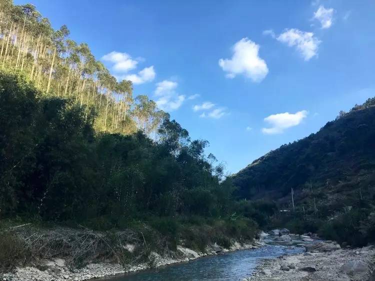 龙郓最新探索，自然美景引领内心平和宁静之旅