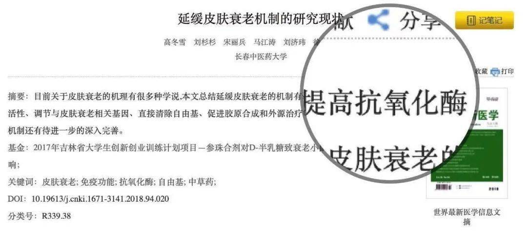滑嫩最新章节深度解析与观点阐述