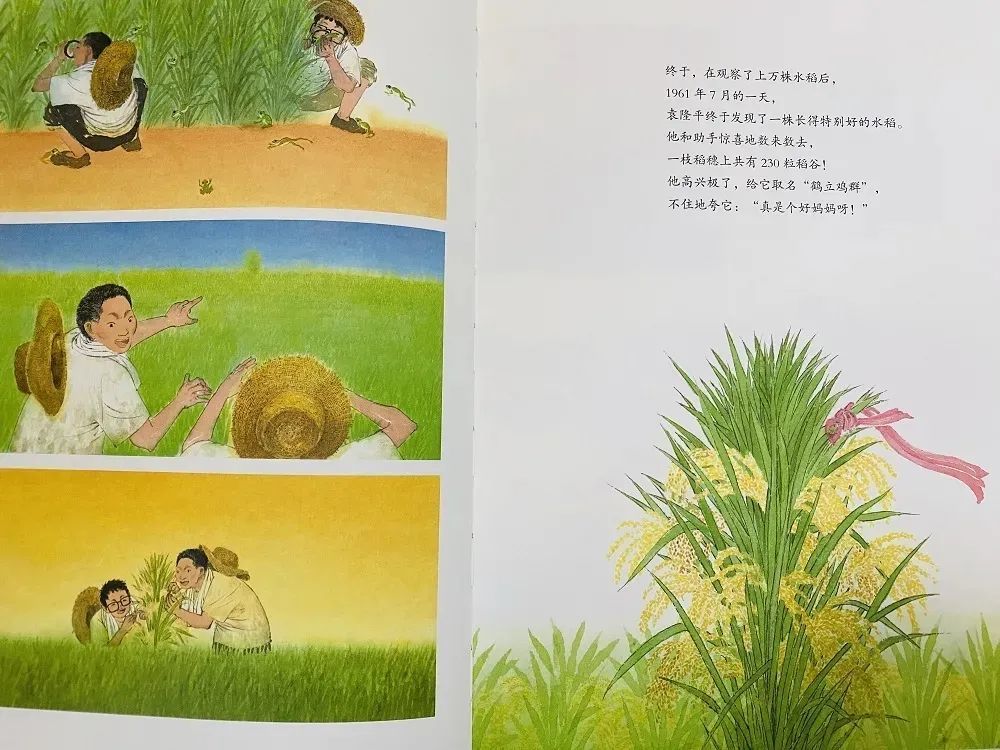 成都肺炎最新动态，逆境中的力量与自信之源