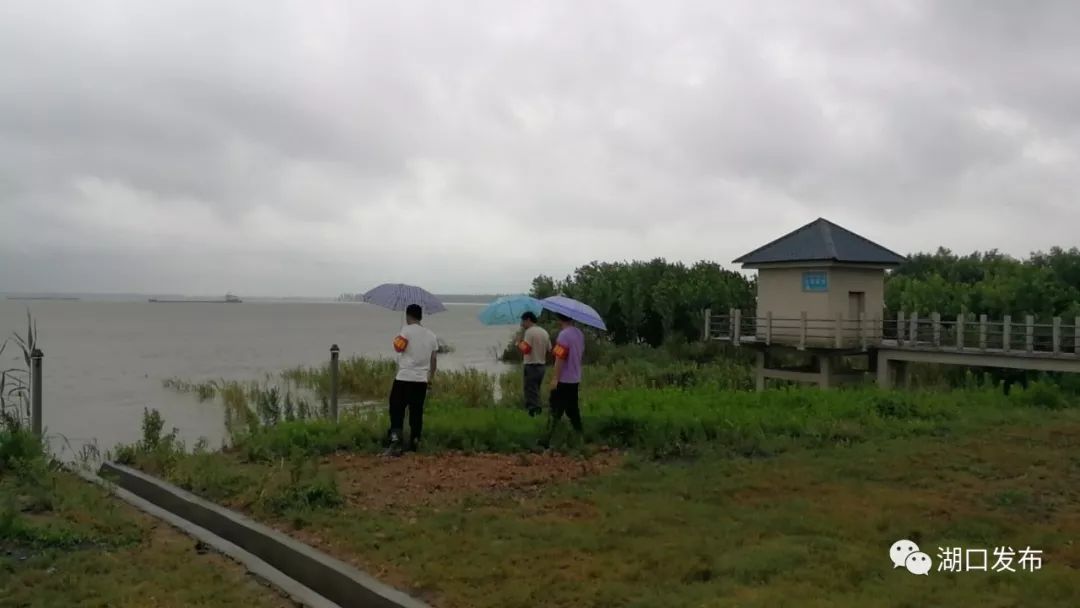 湖口县最新水位，观点阐述与分析报告
