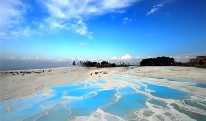 期货铁矿粉最新价格，与自然美景的邂逅与探寻内心宁静的旅程