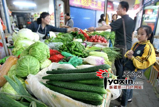 乌鲁木齐蔬菜价格最新动态，奇遇般的蔬菜市场之旅