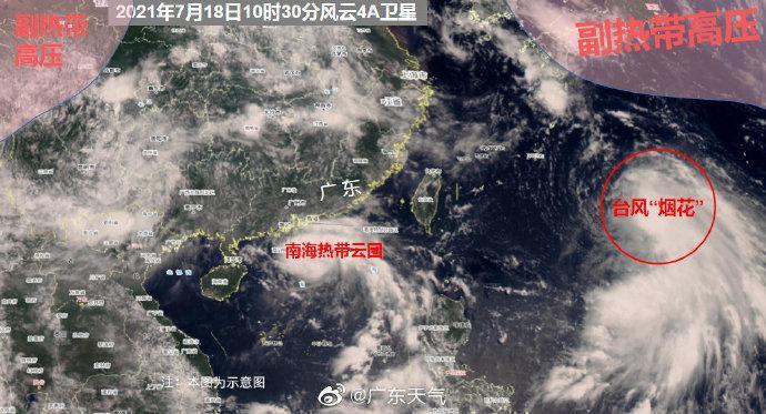 台风最新实时路径发布，温馨日常趣事与影响解读