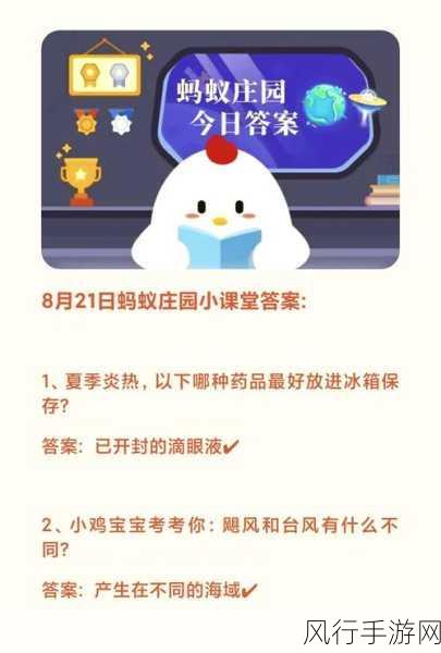 蚂蚁最新庄园答案揭秘，小巷深处的特色小店探秘之旅