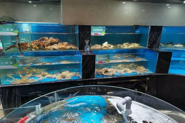 最新款海缸，家的海洋乐园，享受温馨的海洋风情