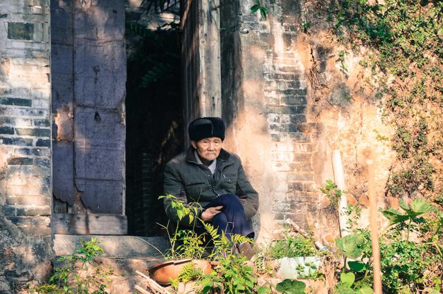 恋老网最新小说揭秘，小巷里的神秘之书探秘