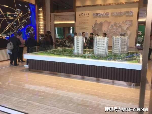 王雅媛最新持股深度解析及持股情况揭秘