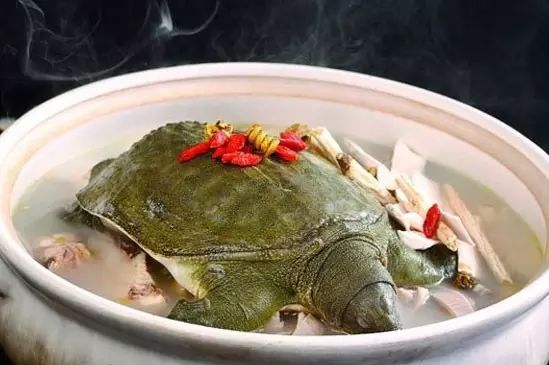 小巷中的神秘美食探秘，最新甲鱼消息揭秘