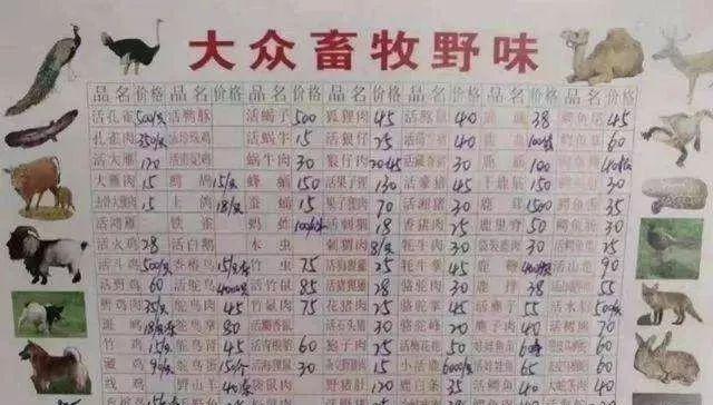 探索自然美景之旅，最新疫情防控通知下的自然之旅呼唤！