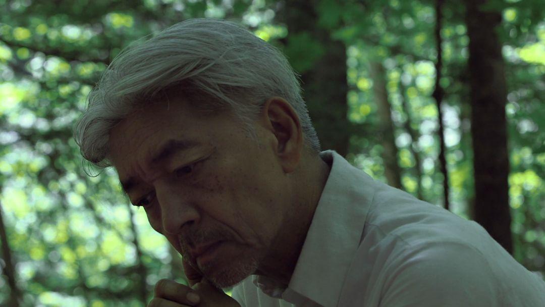 坂本龙一最新动态，音乐创作与生活的点滴分享