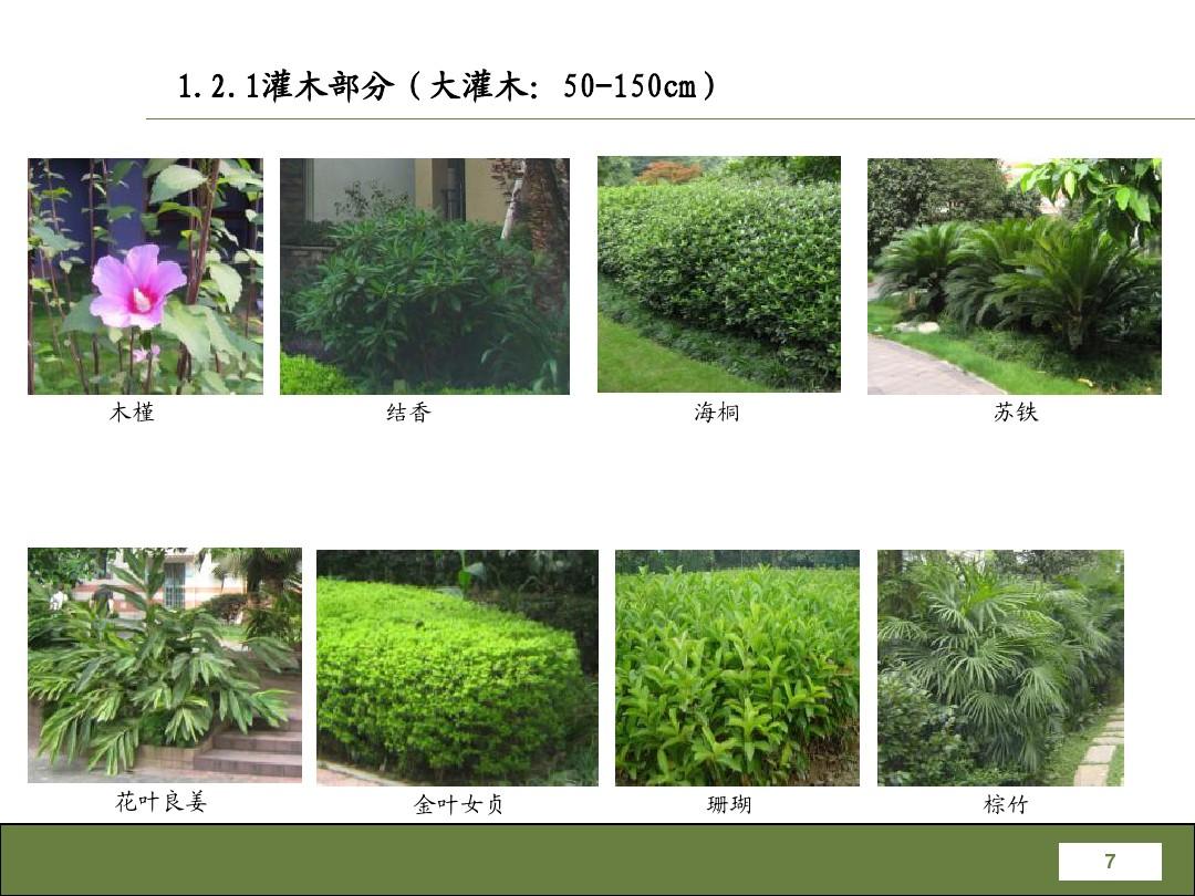 律师营业执照 第70页