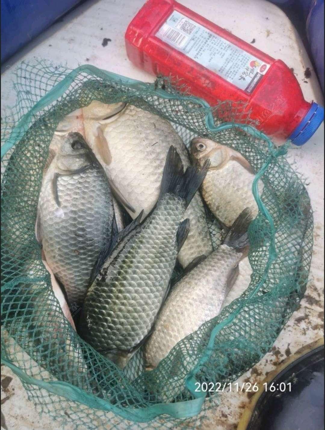 谭作钓最新动态揭秘，钓鱼探讨与争议热议