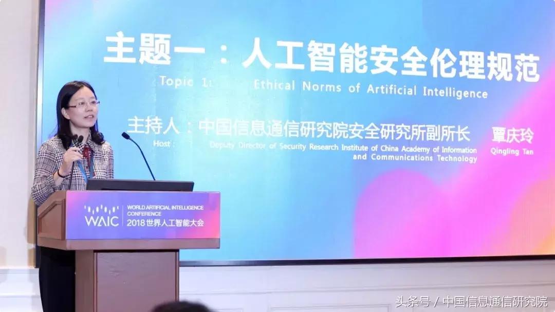 武山县发展双刃剑效应的深度解析