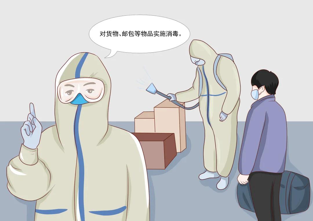 最新法定传染病分类与报告期限详解，从入门到进阶的实用指南