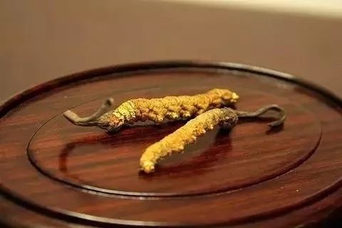 虫草行情一路向上，学习成就自信与辉煌之路