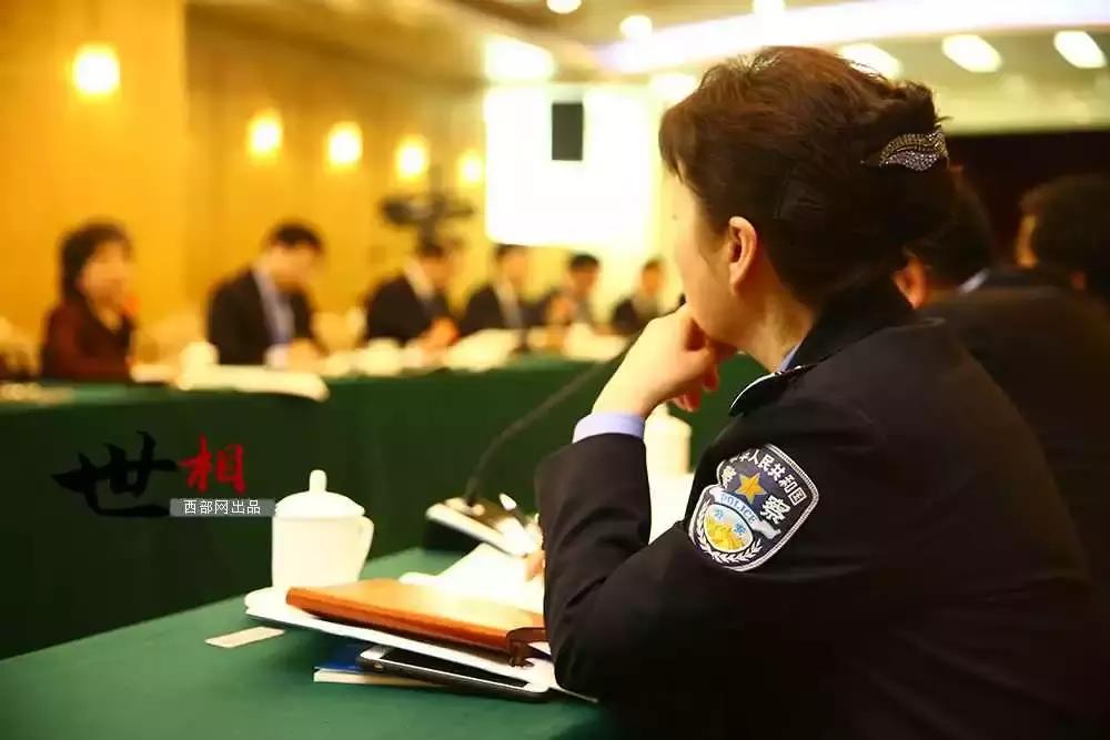 新2备搜网址，探索最新资源，畅享无限可能