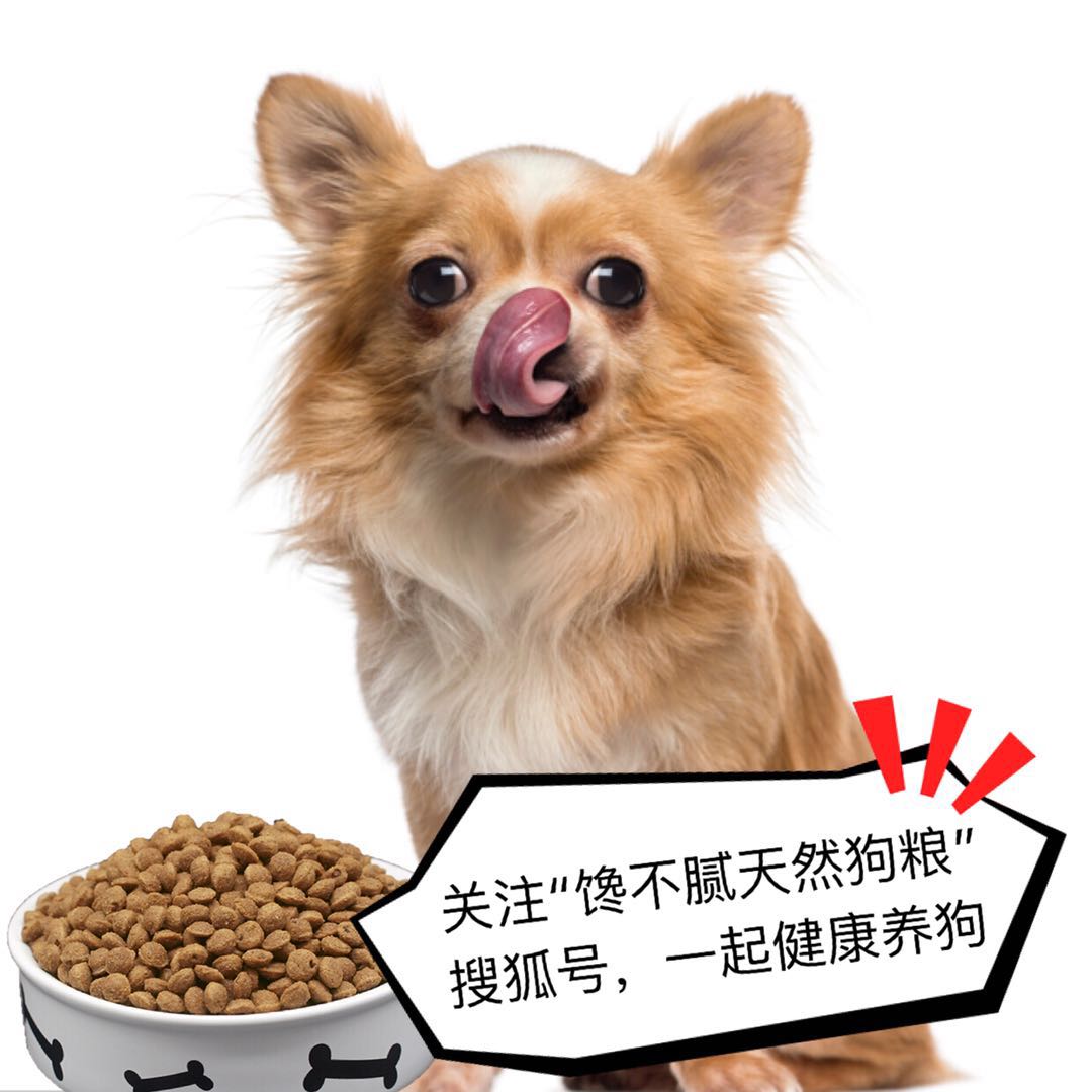 7777788888精准狗狗,时代变革评估_多媒体版57.578