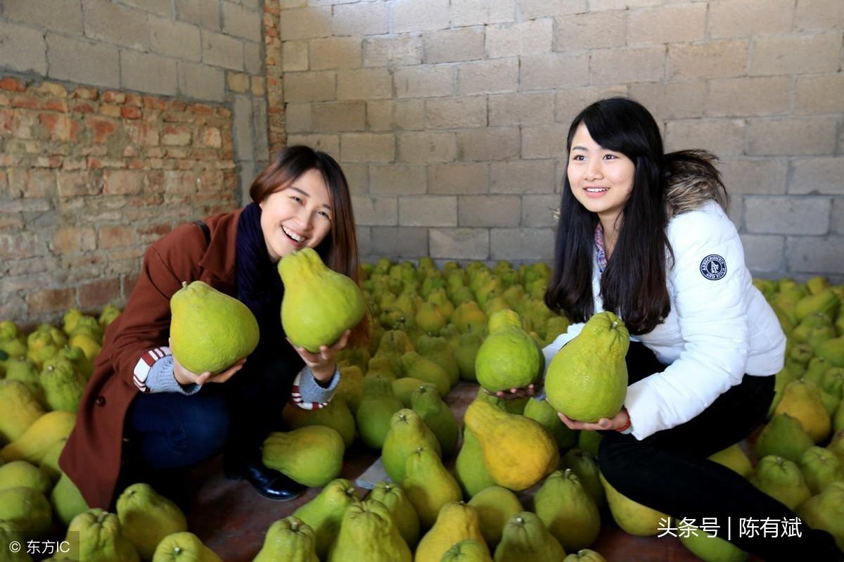 西瓜最新价格行情分析，市场动态与趋势解读
